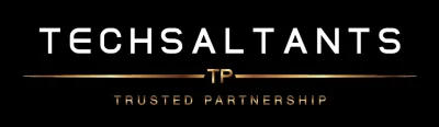 Techsaltants logo