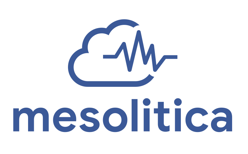 Mesolitica logo